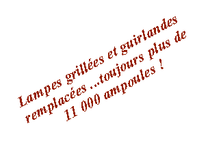 Zone de Texte: Lampes grill�es et guirlandes remplac�es ...toujours plus de 11 000 ampoules !